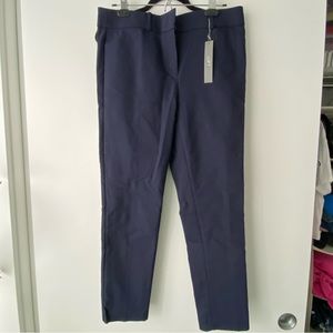 Ann Taylor Loft Marissa Skinny Pant